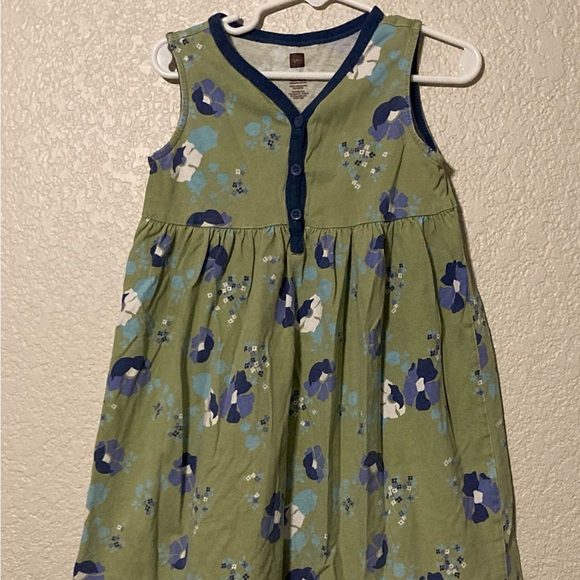 Set of 3 Dresses (Tea Collection and Janie and Jack) size 5 - Picture 7 of 10